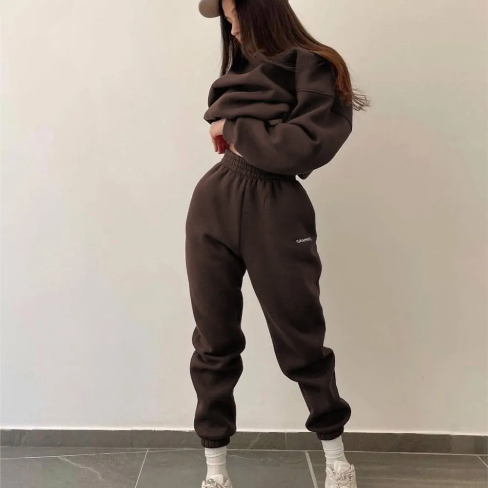 Autumn And Winter New Casual Sports Women\'s Suit Fashion Solid Color Simple Warm Pants Hoodie Female 2 Piece Set 2024