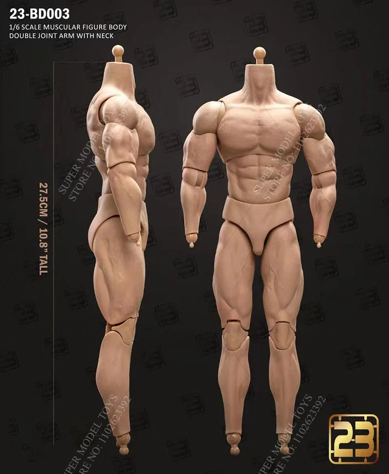 23TOYS 23-BD001 1/6 Scale Men Soldiers Standard Muscle Joint Body About 23.5cm - 27.5cm Action Figure Articulate Model Toys