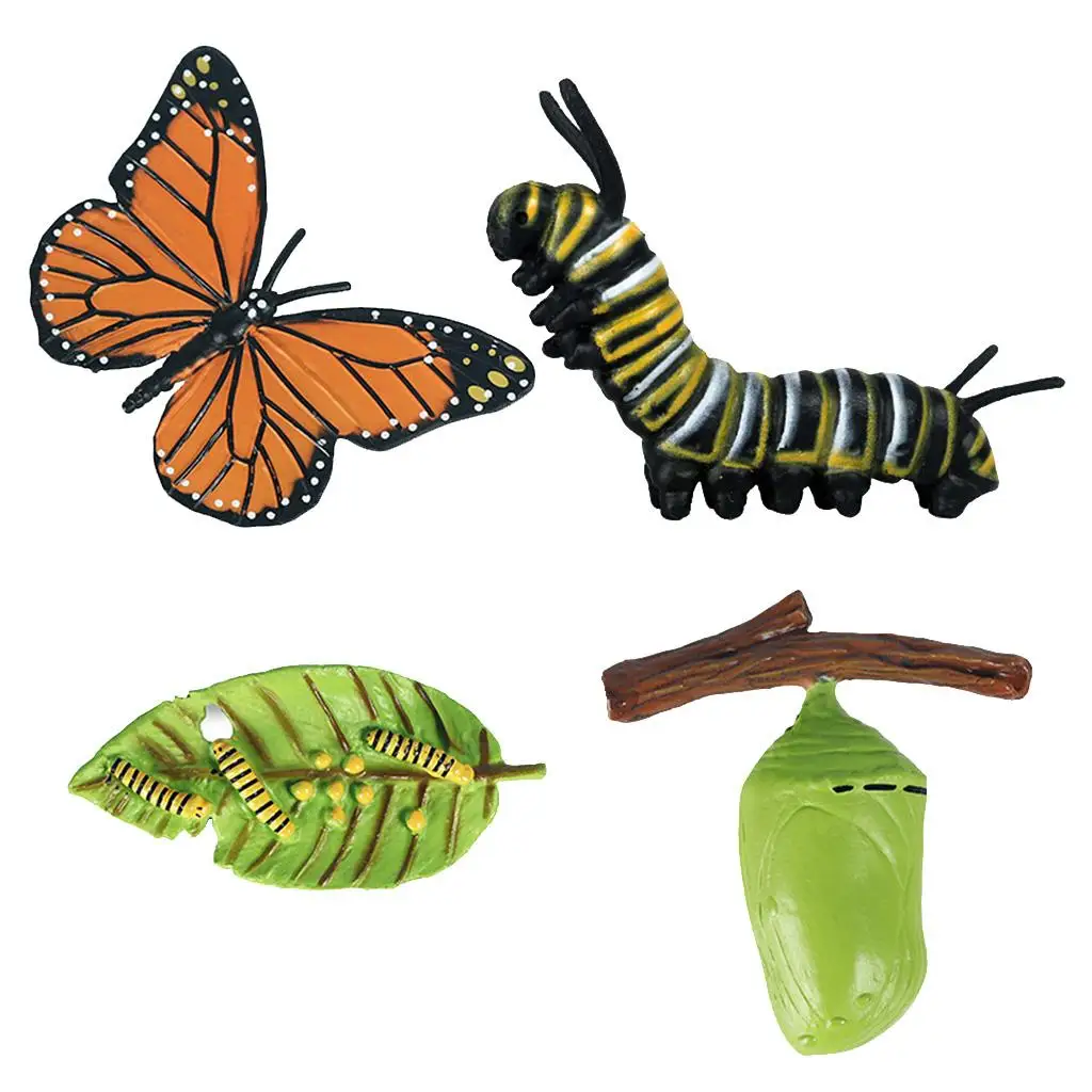 

2xRealistic Nature Butterfly Growth Child Education Learning Teaching Toys