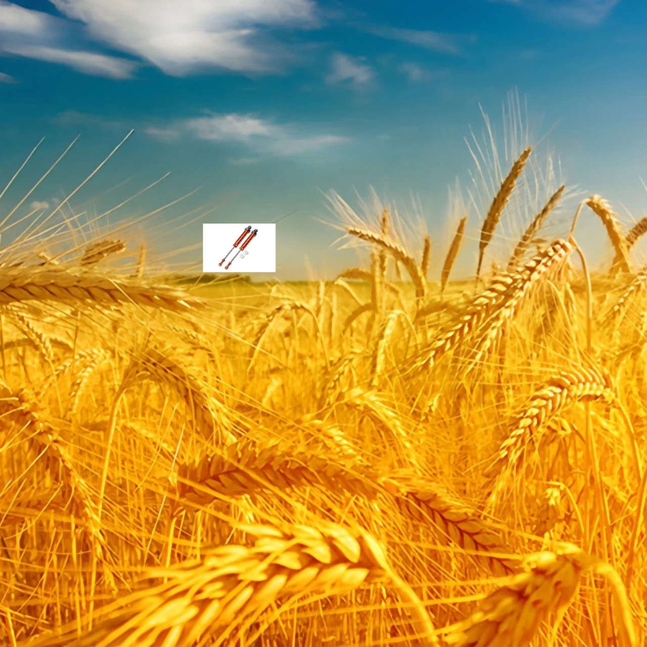 

GPM Aluminium Rear Internal Dampers for LOSI 1/10 4WD Hammer Rey U4 Rock Racing Rock Crawling Car Part