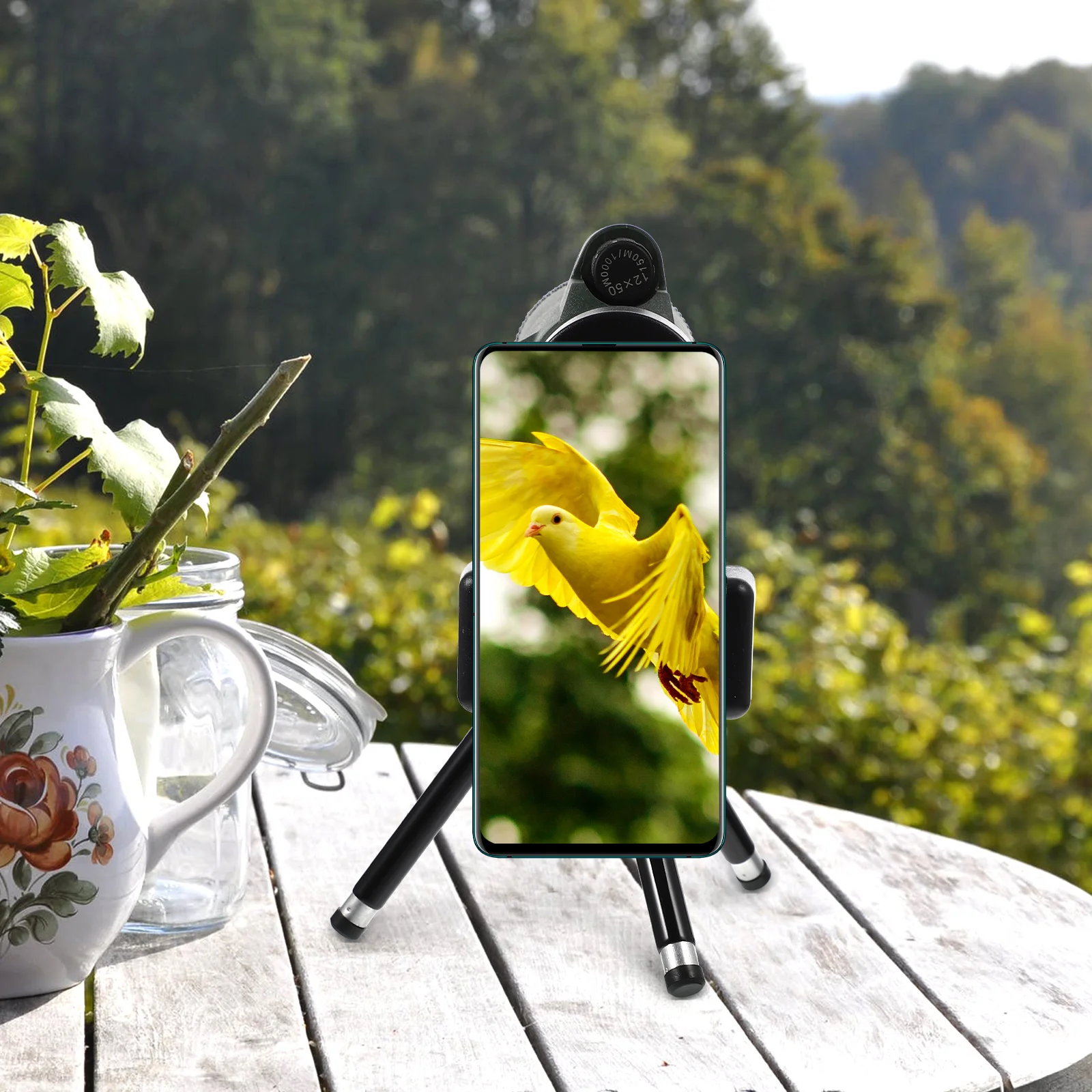 

Portable 12x50 Monocular Telescope Set Wide Night Watching Birding Hiking Camping Tripod Adapter Waterproof Anti Fog