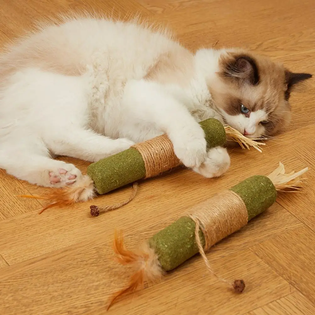 Cat Dental Hygiene Chew Toy Cat Chew Toy for Oral Care Cat Teething Toy Set with Silvervine Sticks Catnip for Indoor for Breeds image 6