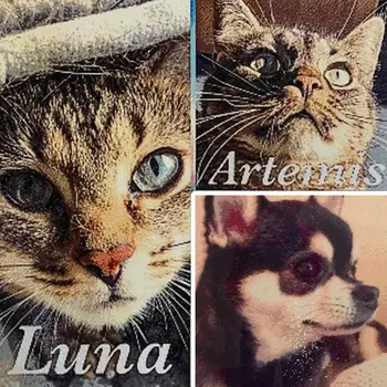 8 best sales 永恆時刻官方商店 - №2