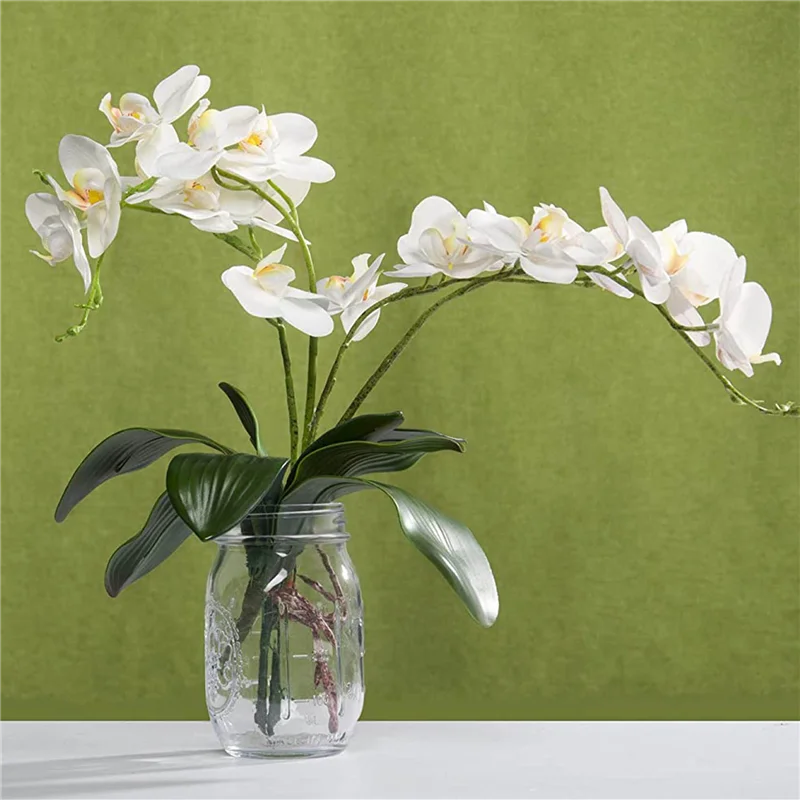 AB45 Phalaenopsis Orchids Leav - Orchid Phalaenopsis recension och pris