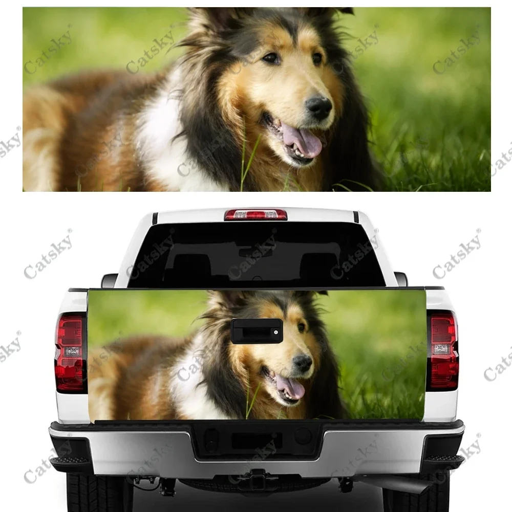 Rough Collie Car sticker rear car exterior modification vinyl self-adhesive painting for cars truck stickers