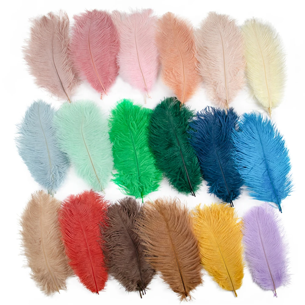 10PCS Multicolor Ostrich Feather Wedding Home  Carnival Decoration Table Centerpieces 15-20CM 20-25CM 30-35CM Plumes for Crafts