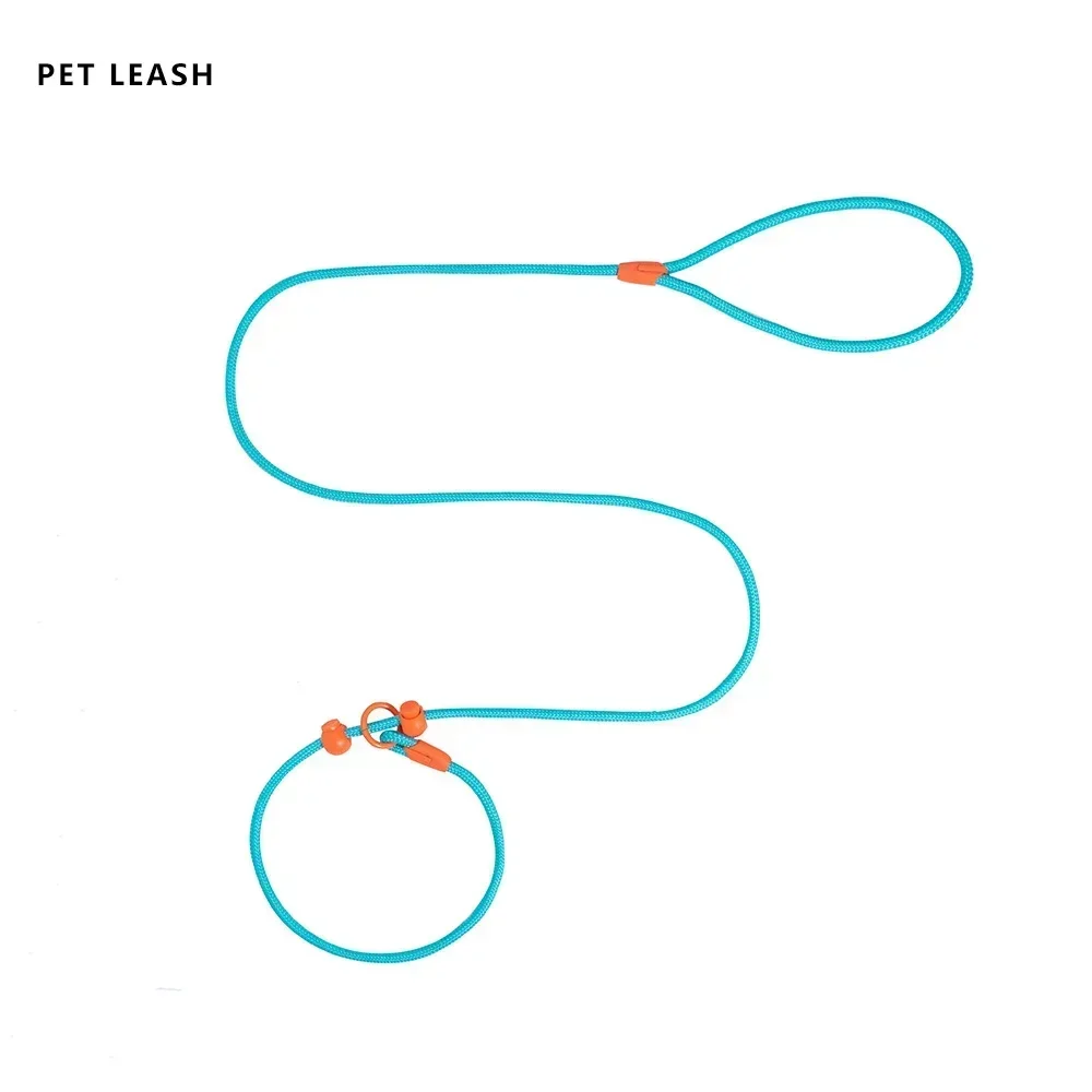 150 cm rundes Trainingseil für Hunde, leichtes Nylon-P-Kettenhalsband, verstellbar für kleine und mittelgroße Hunde, Gehleine, Heimtierbedarf – Detail 13
