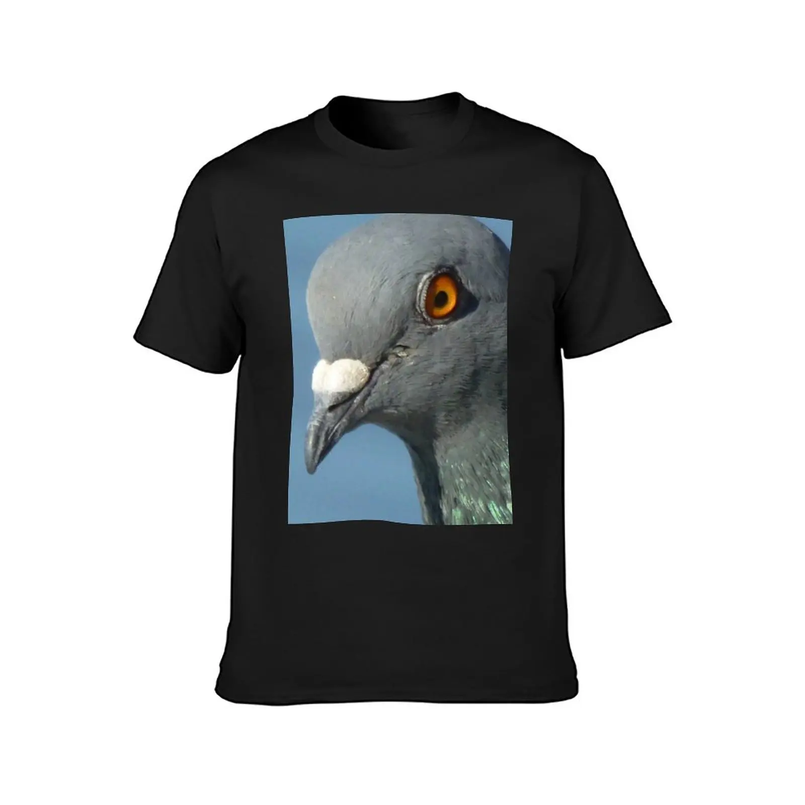 Pigeon Close Up Photography T-Shirt blacks Blouse summer top Short sleeve tee men clothing