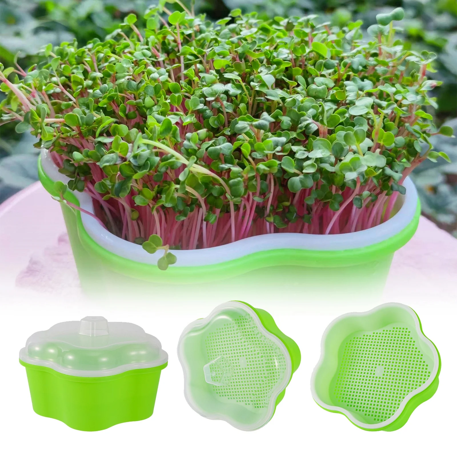 Plastic Seedling Tray Garden Hydroponic Peanut Sprout Box Bean Pea Wheat Sprouter Container Multi-Function Planting Nursery Pot