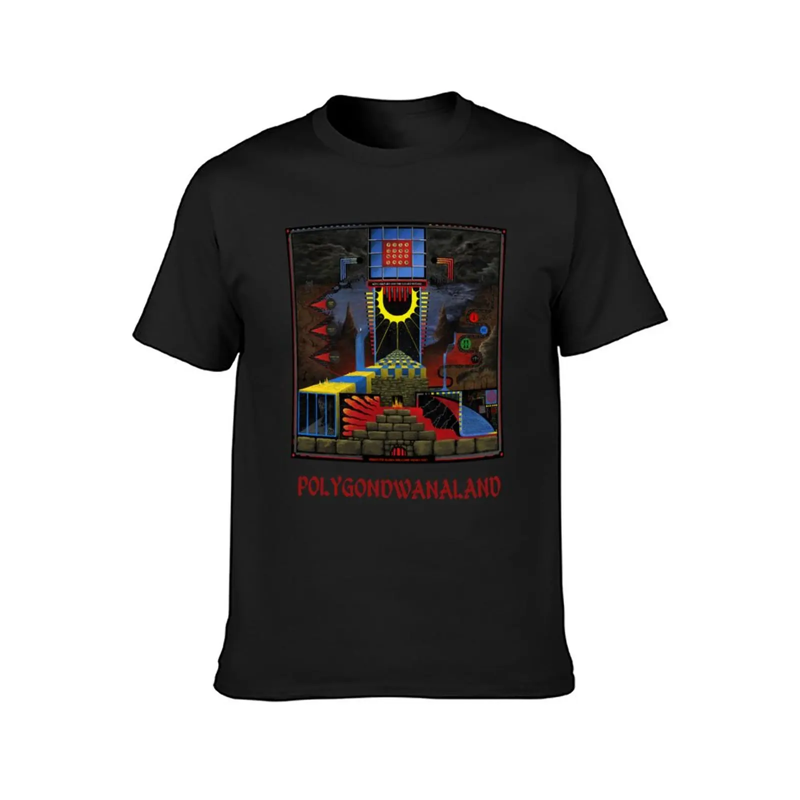 King Gizzard and The Lizard Wizard polygondwanaland 2021 T-Shirt customs tees vintage tshirts for men