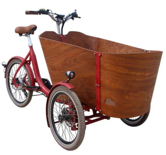 Swing Balance Device 26 Inch Electric Cargo Bike/bakfiets/cargobike Nexus 3 Speeds Electric Cargo Bike Electric