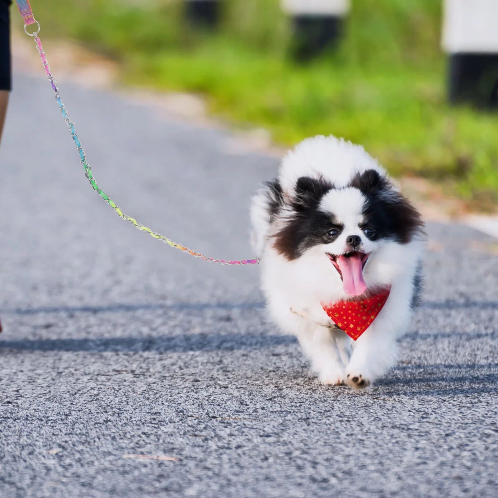 

Colorful Metal Dog Leash Sturdy Bite-Resistant Chain with Wide Handle for Reduced Hand Pressure Ideal for Daily Walks and