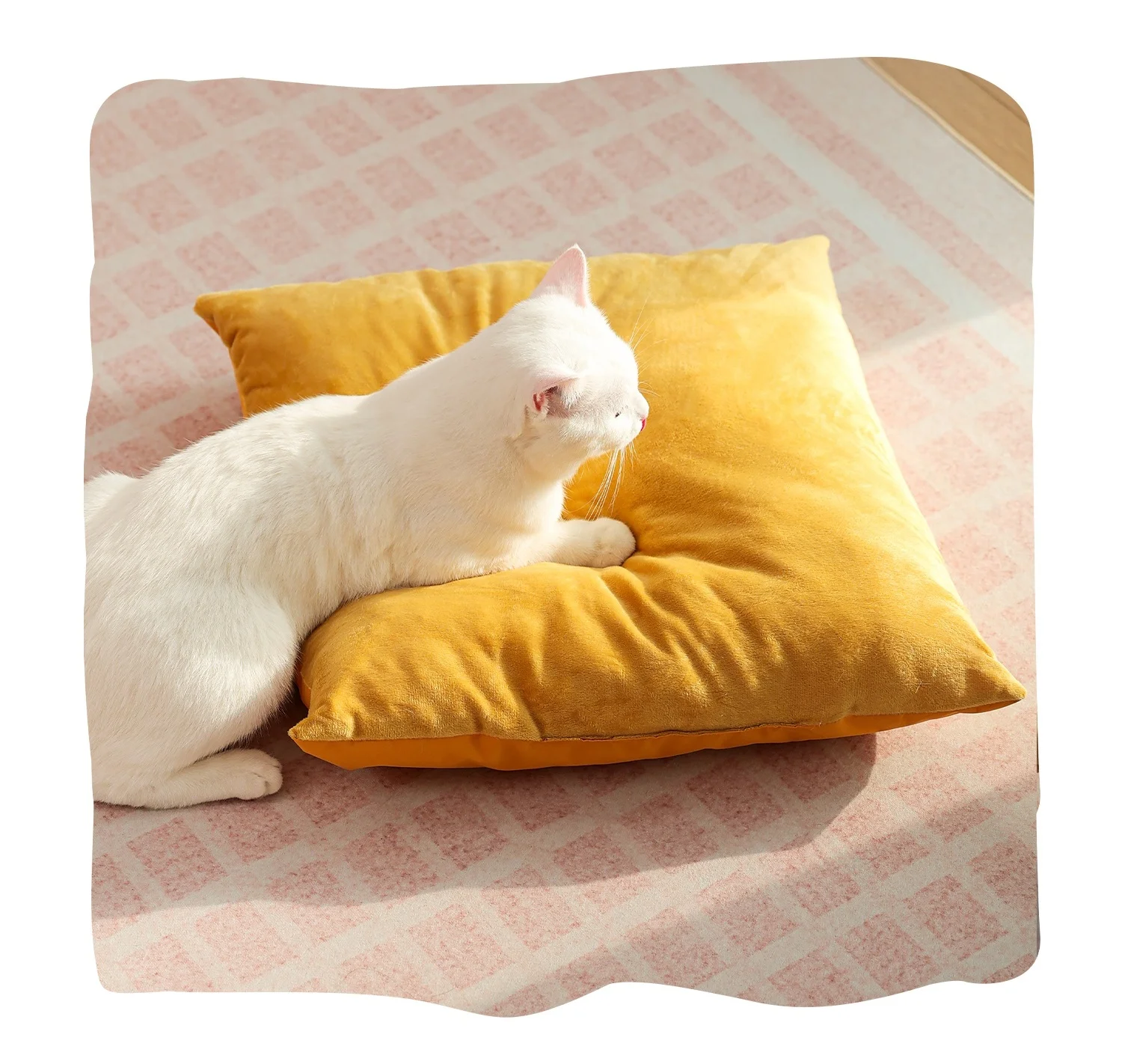 Barraca de gato impermeável ao - Outdoor Camping Dog Bed avaliação e preço