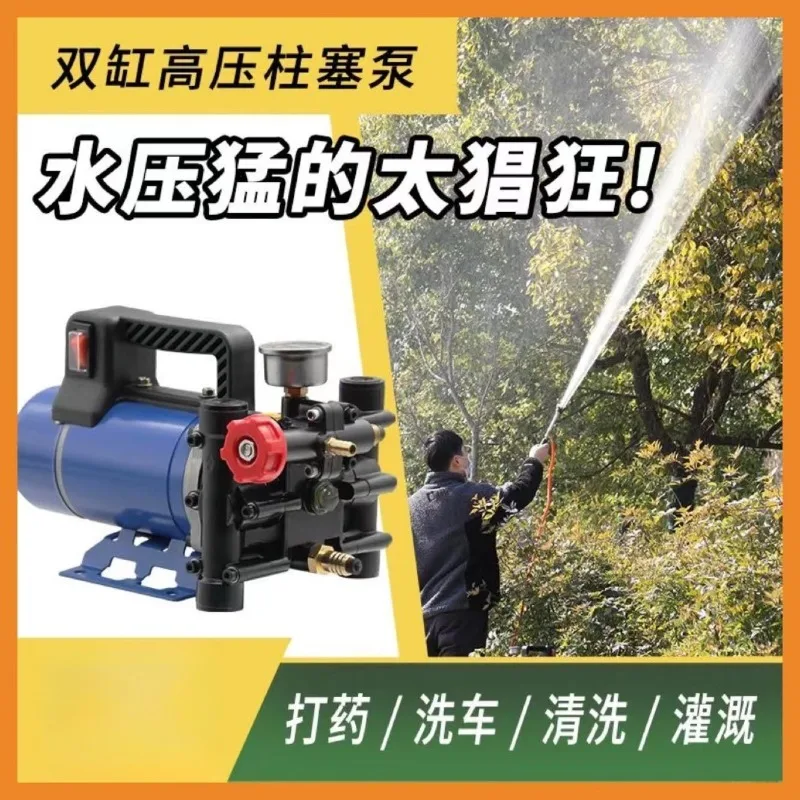 Portable Electric Agricultural Sprayer 12V 60V 220V High Pressure Double Cylinder Plunger Pump