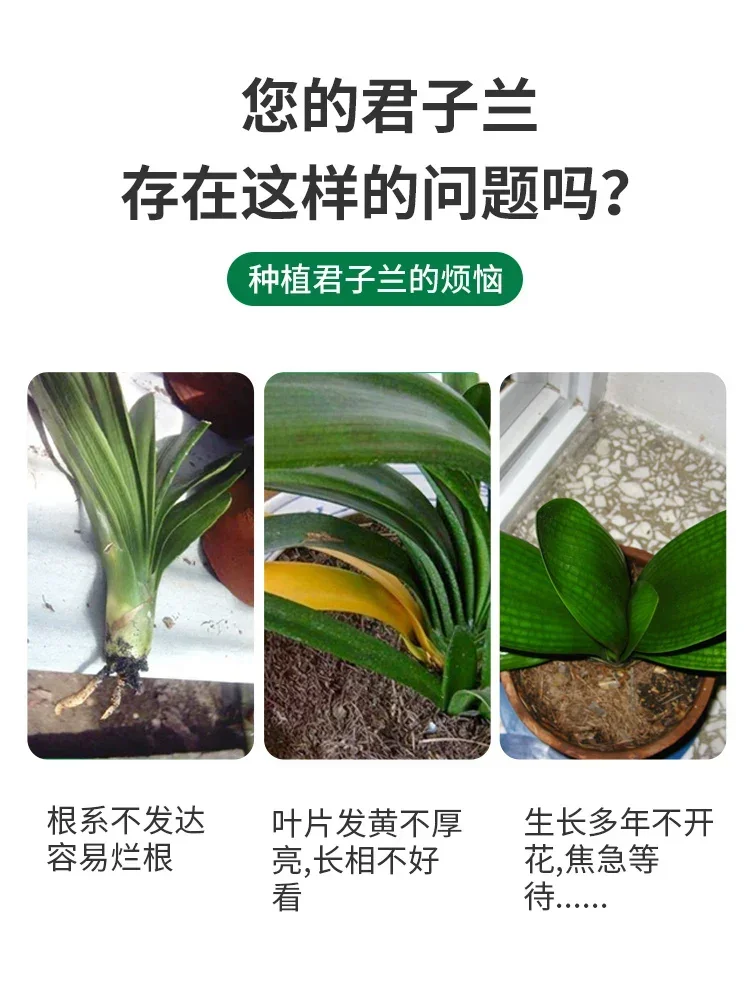 30g/500g/1.96kg Gentleman Special Fertilizer Particle Slow Release Organic Compound Fertilizer Orchid Flower Potting