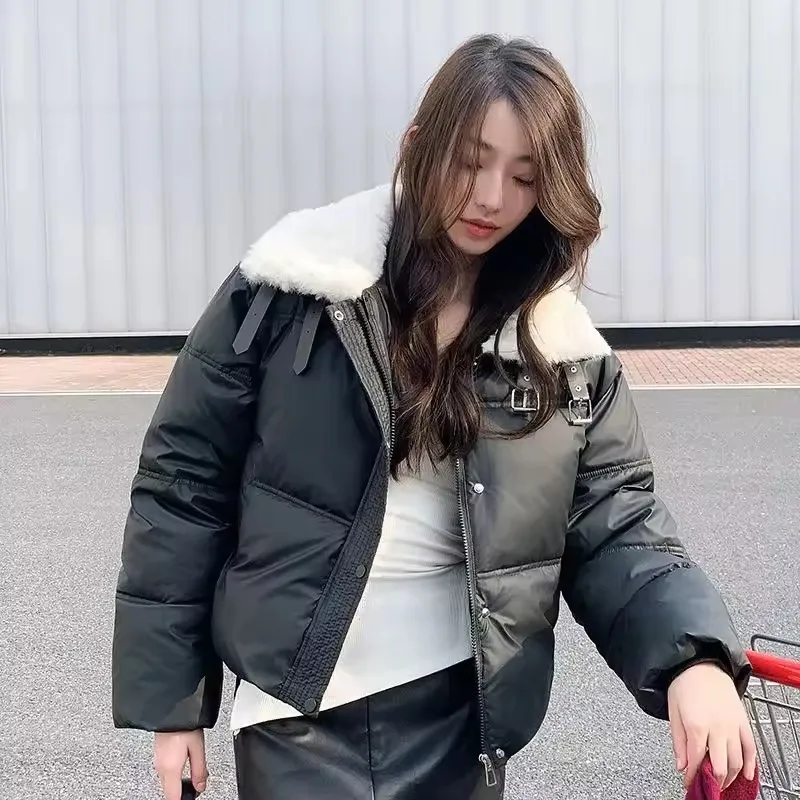 

2025 New No Wash Cotton Padded Women Winter Fashion Short Jacket Parkas Coat Stand Collar Loose Female Down Cotton Outwe