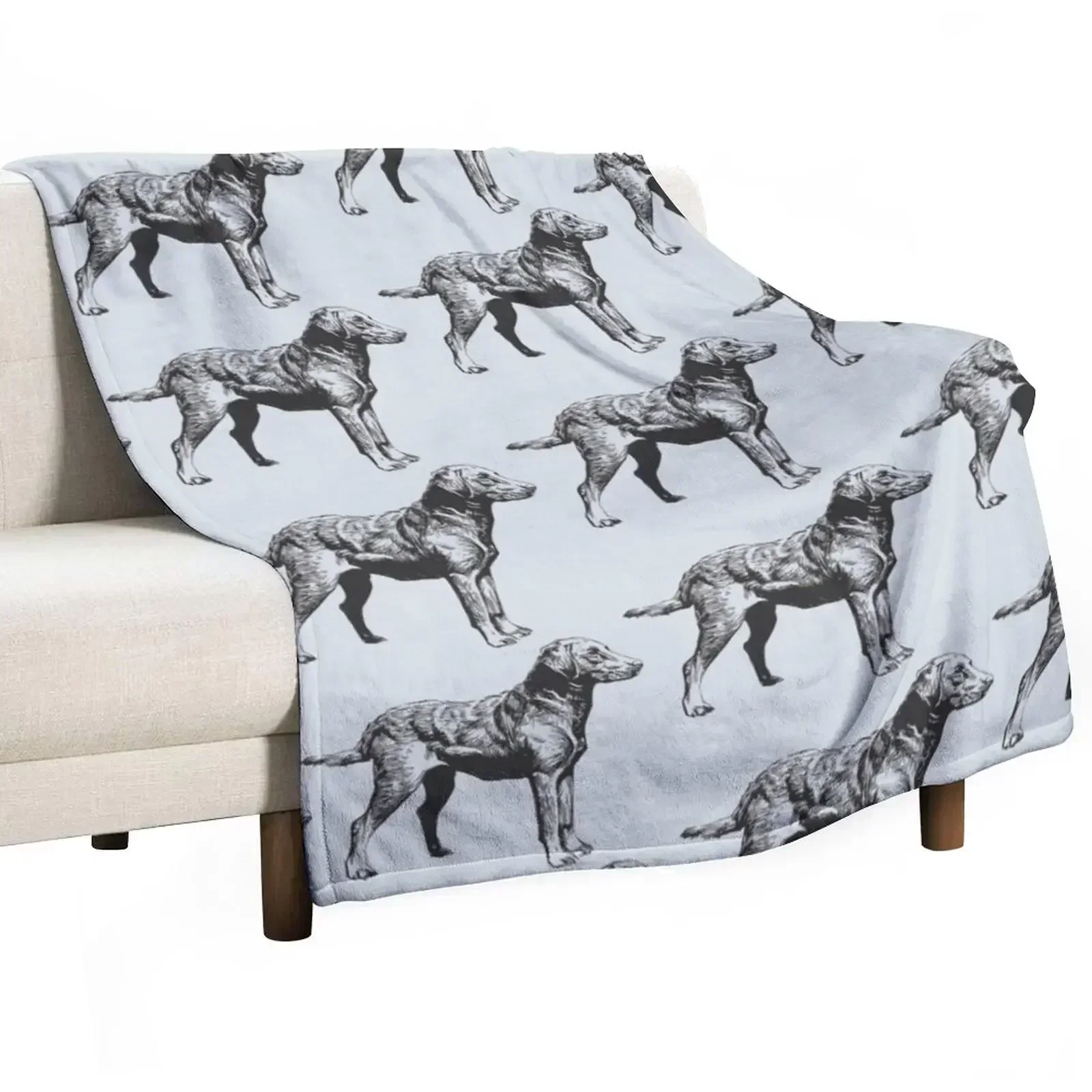 

Chesapeake Bay Retriever Throw Blanket Flannel Fleece Soft Warm Throw Blanket