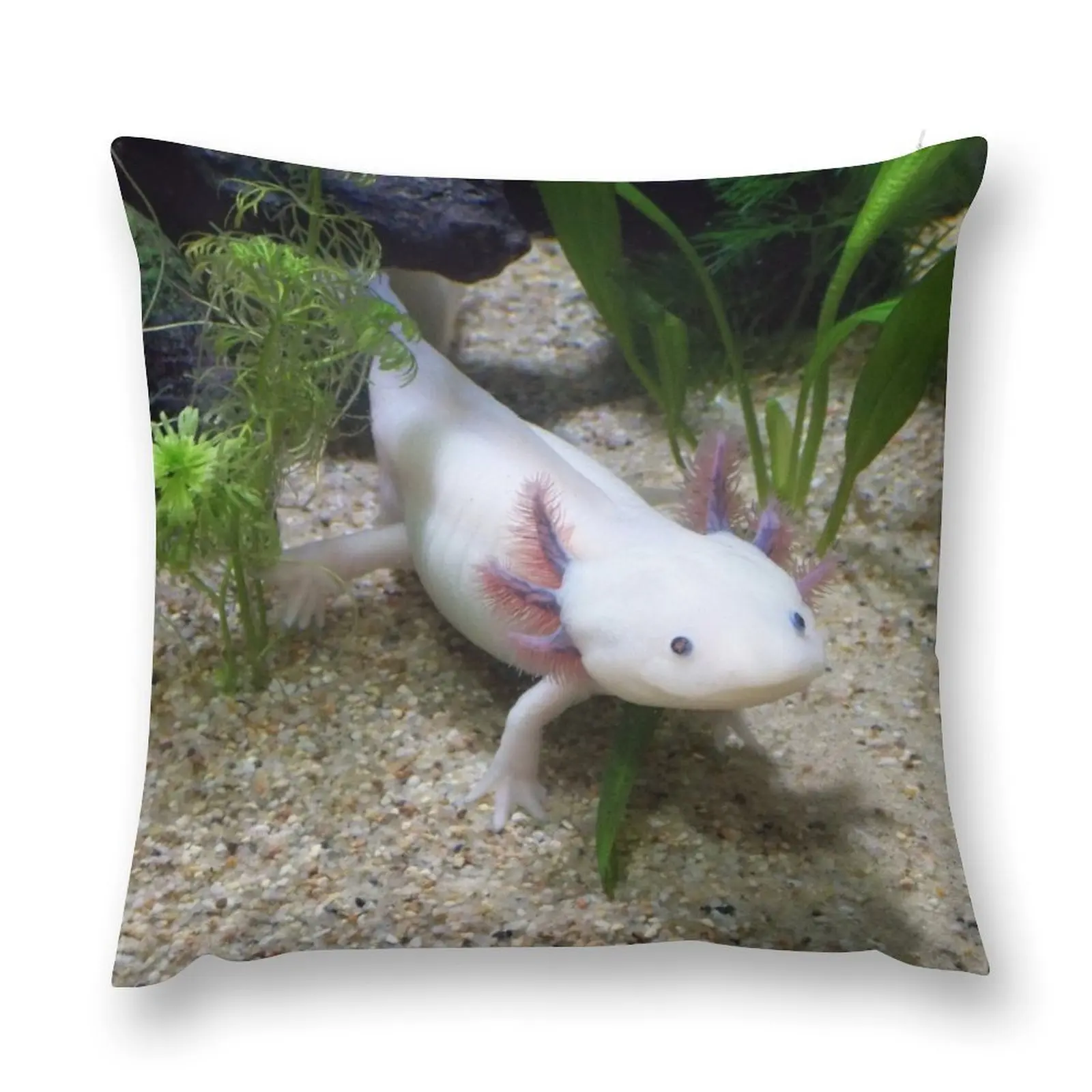 Axolotl Smiling Throw Pillow Christmas Cushion For Home pillow cover luxury Cushion Child Decorative pillow case