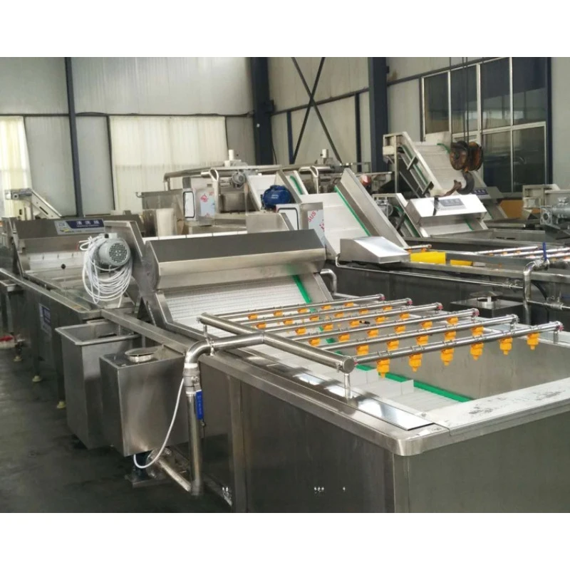 Industrial Fruit Washer apple Washing Machine Commercial Fruit and Vegetable Washing Machine