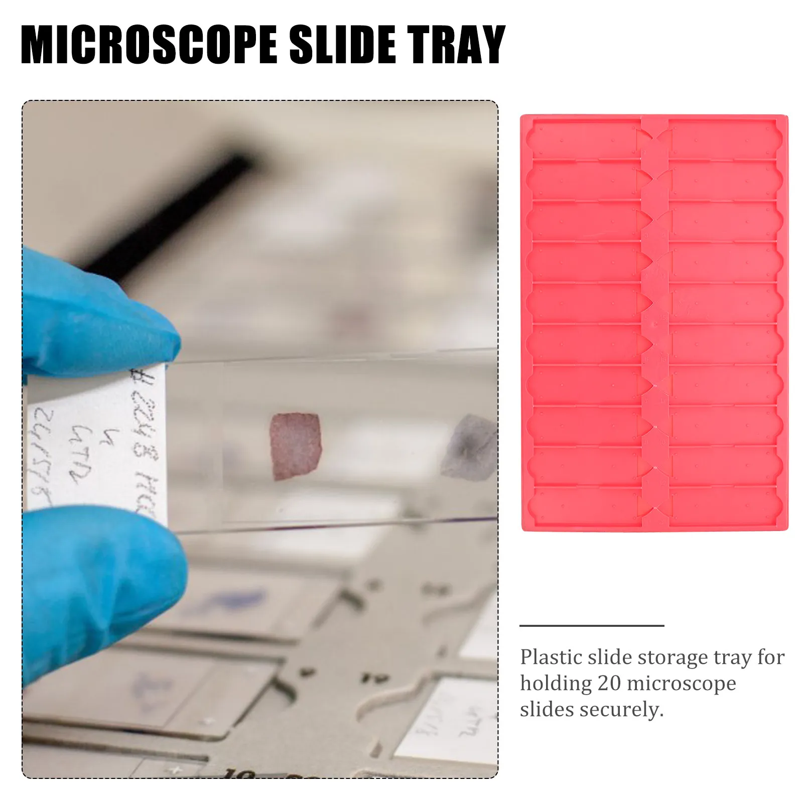 Plastic Microscope Slide Storage Tray 20 Slot Numbered Positions Content Sheet for Slice Collection Teaching Tools
