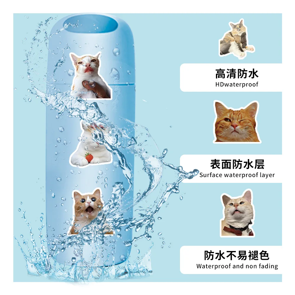 ملصقات قطط كرتونية رائعة ، شارات ميمي مضحكة ، مفكرة ذاتية الصنع ، دراجة نارية ، هاتف ، دراجة ، ثلاجة ، سيارة ، ألعاب أطفال ، 10 من من من من من نوع 50 ومن ومن ومن ومن ومن ثم #6