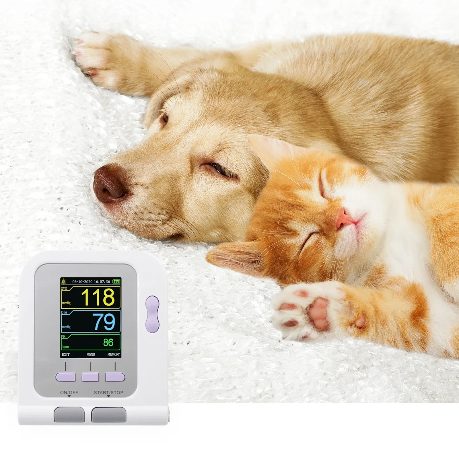 

hot sale CONTEC08A-Vet Digital Sphygmomanometer portable veterinary equipment veterinary instrument