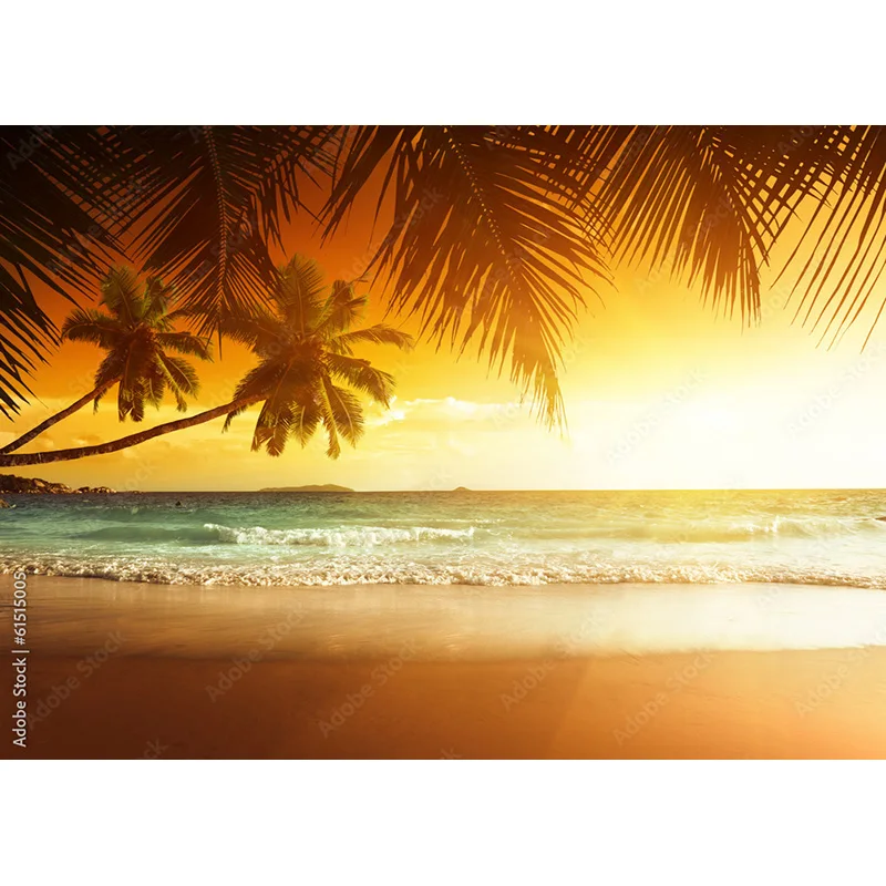 Fondo de fotografía Tropical mar playa palmeras árbol Scenic Photo Backdrops Photocall Studio HHB 05