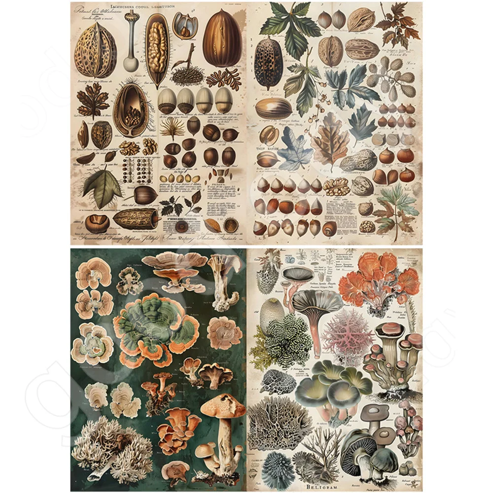 Botanical world 10 sheets material paper vintage do old dead tree nut pattern handbook DIY notebook background paper diary album view 5