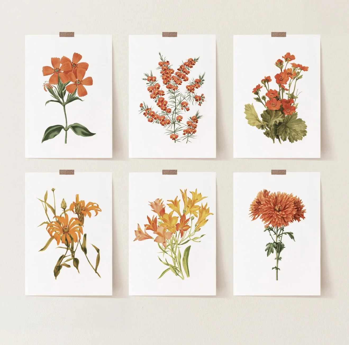 Vintage Botanical Flower Wall Art Canvas Prints, Retro Floral Posters, Antique Plant Decor for Living Room Bedroom Decor