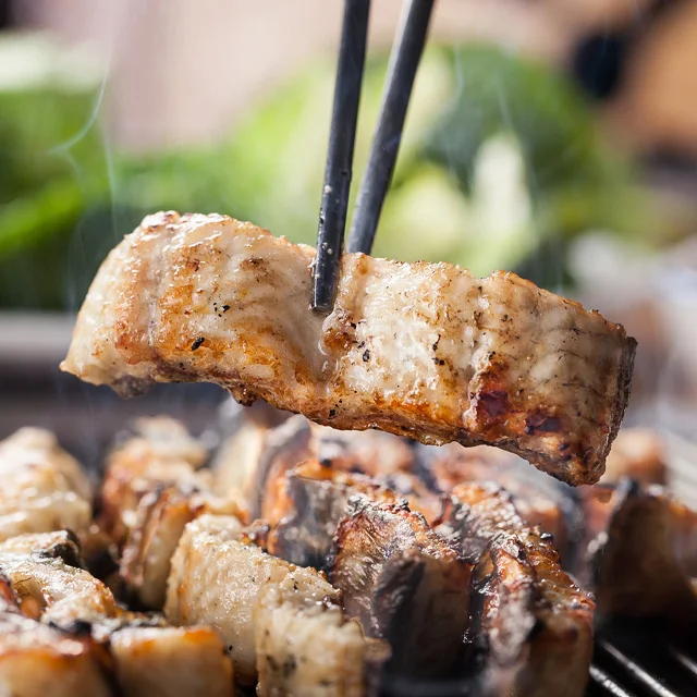 ثعبان البحر العشبي المحلي المضاد للبكتيريا جابونيكا 500 جرام