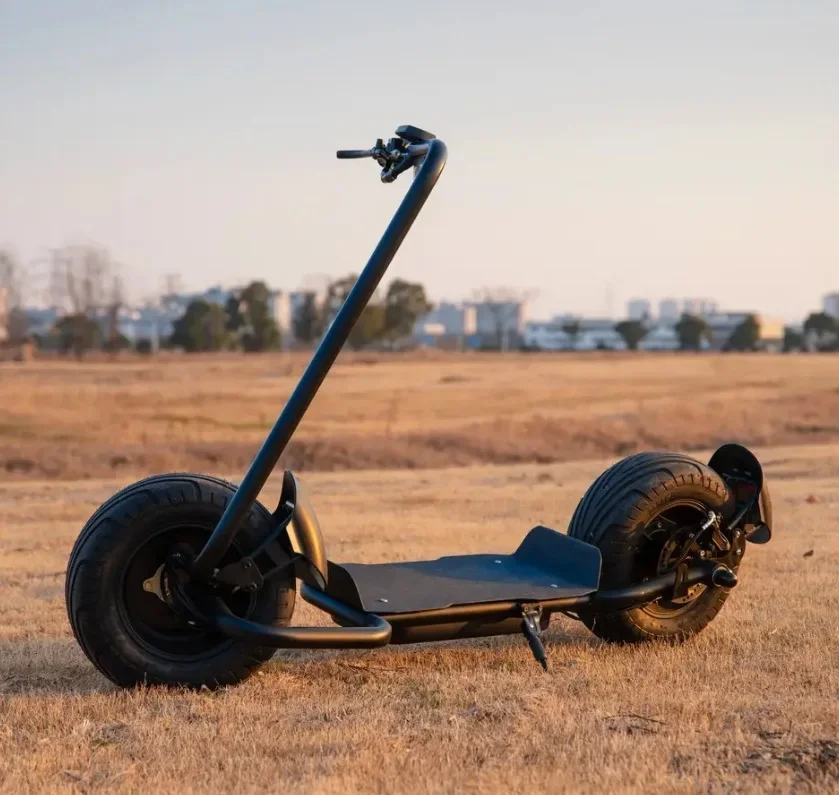 Newest Design Big Two Wheels Fat Tyre Citycoco 2000W 60V20A Max Disc Brake Electric Scooters Steel Frame