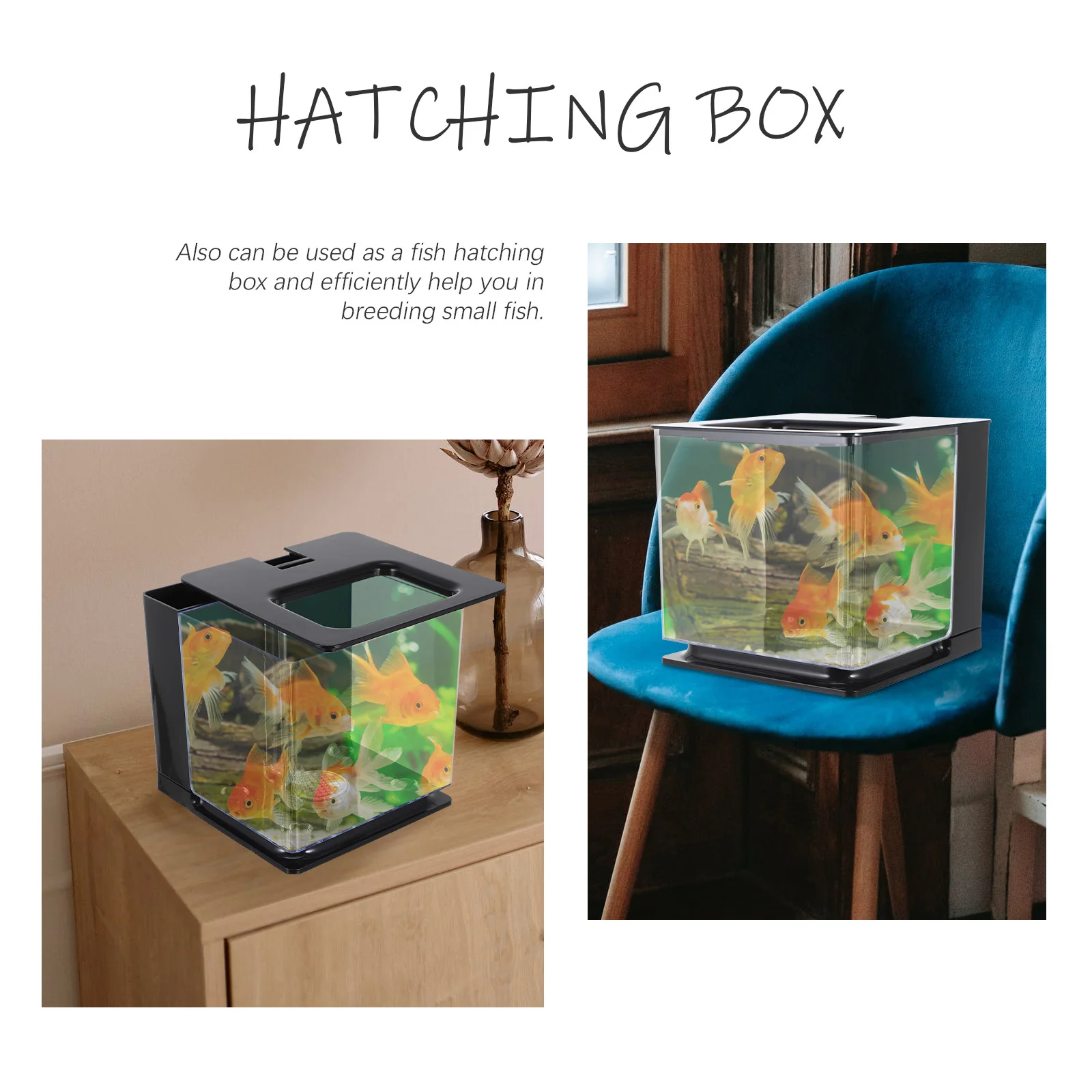 

Small Transparent Acrylic Fish Tank for Fry Hatching Desktop Self-Cleaning Fish Rearing Container Micro Landscape Aquarium