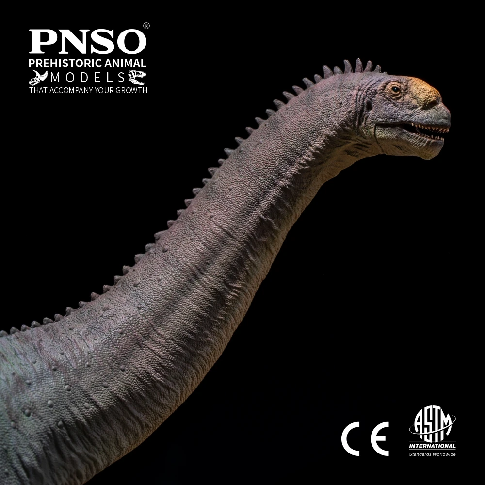 PNSO-Njor نموذج ديناصور Camarasaurus ، ديناصور ما قبل التاريخ 85