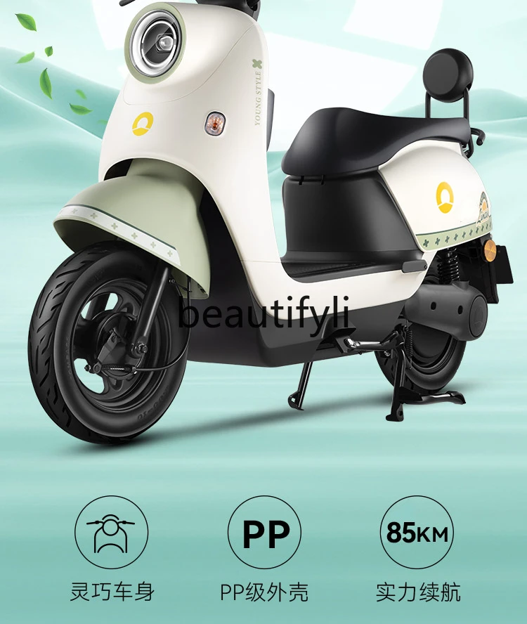 

Xinri Electric Vehicle 60V Women's Adult Commuter Battery Car Turtle King Electric Moped Liman 3.0