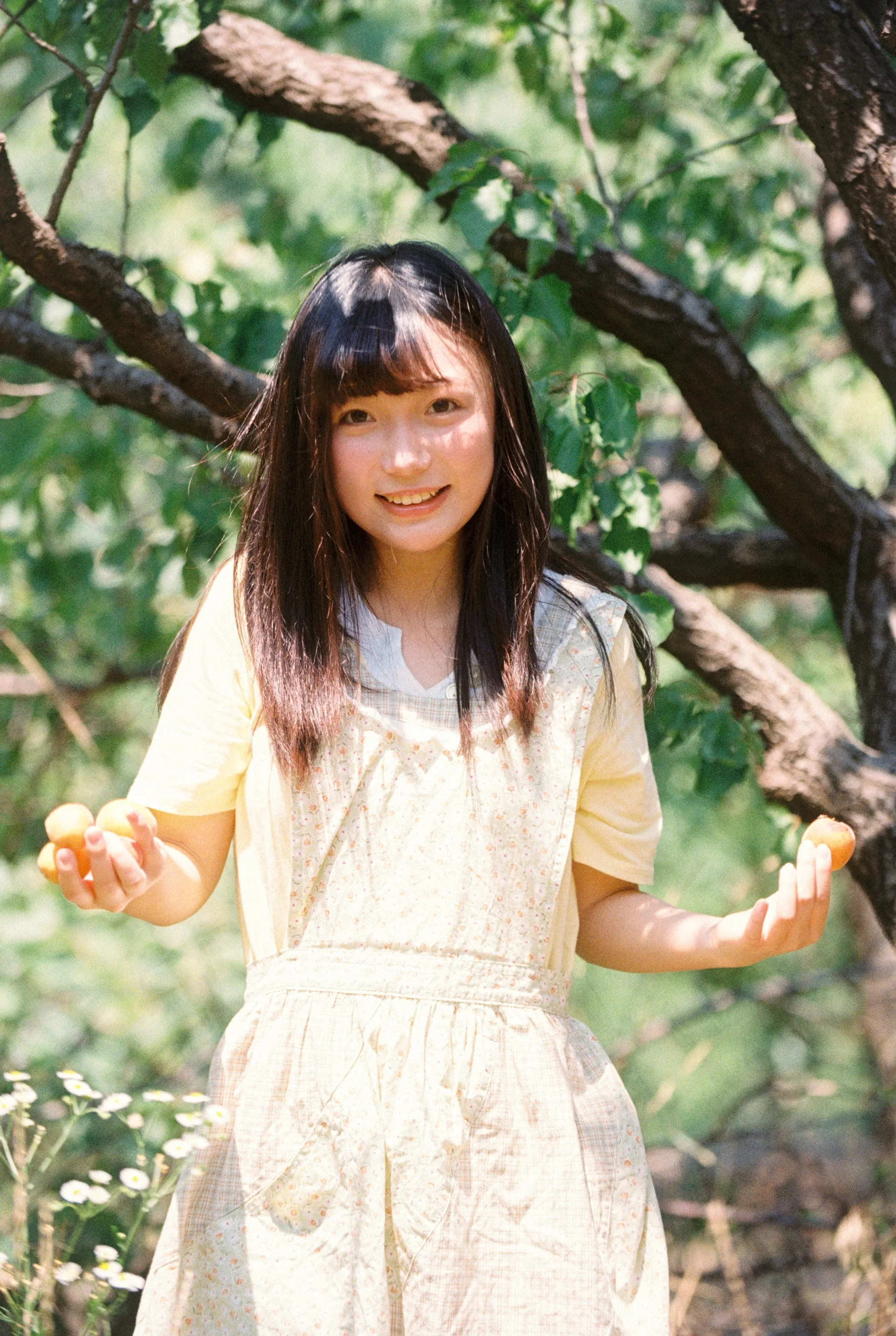 

Metal Upgrade Aluminum Alloy 6061 Gearbox Shell for WLtoys 244016 1/24 RC Car Spare Parts