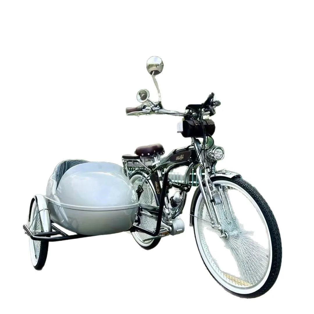 

Retro, Phnom Penh, three wheels, green, eco-friendly, rickshaw three wheels, bicycle