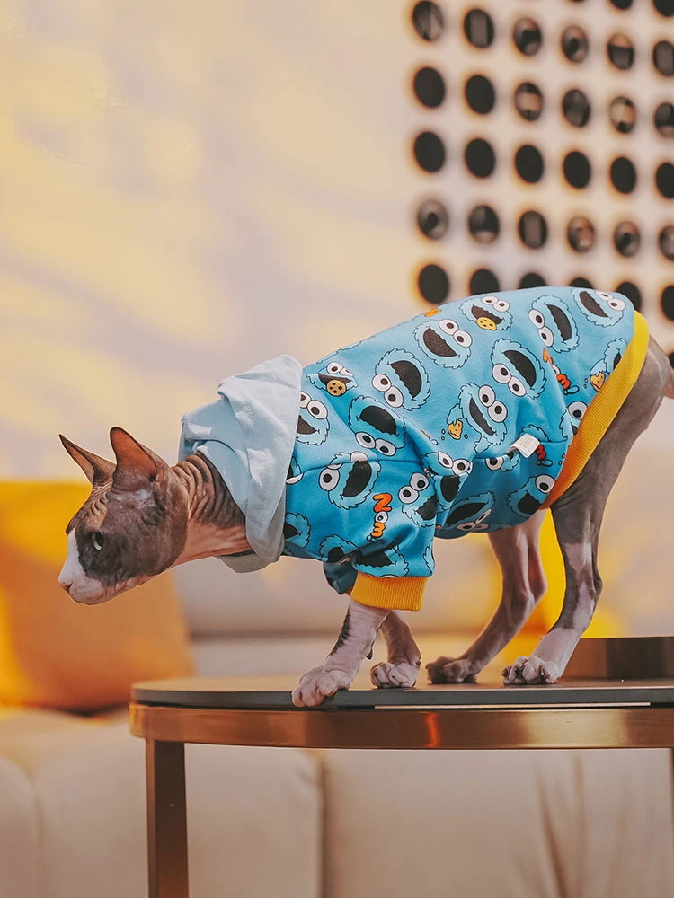 Cat Clothing for Sphnx Soft Cotton Cartoon Jacket For Devon Rex Baseball Uniforms for Cat Warm Coat for Kittens in Autumn Winter