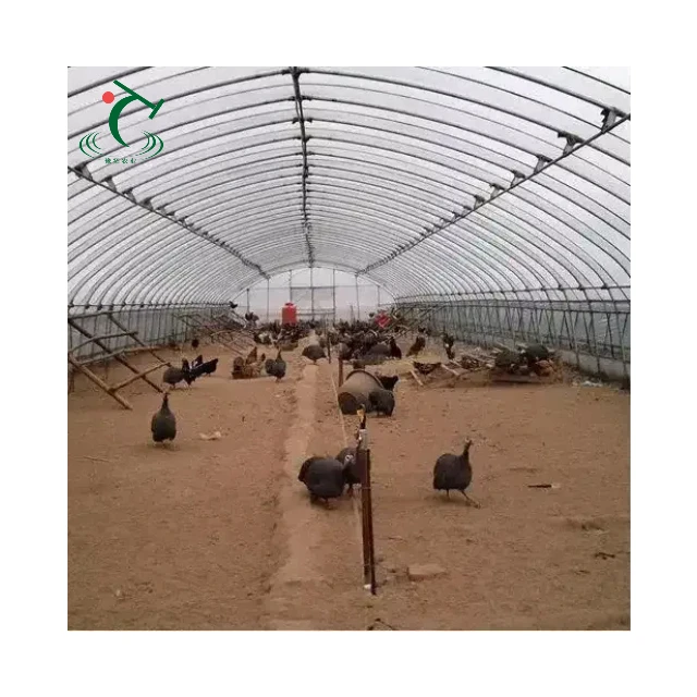 

Customized greenhouseHigh Quality Steel Frame Poultry Animal Shelter Livestock Breeding Greenhouse Husbandry Greenhouse Tent for
