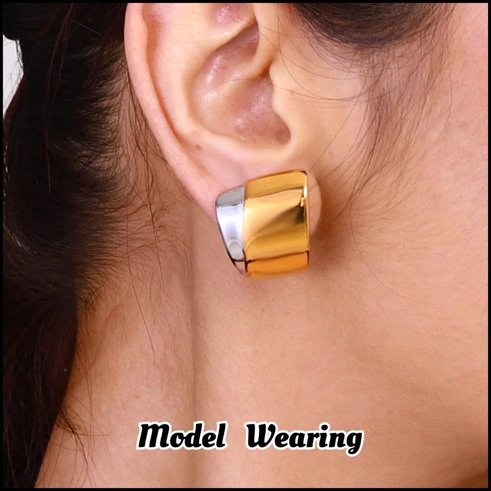 Stainless Steel Color Block Curved Earrings Plated 18k Gold Color Non Tarnish Waterproof Trendy Jewelry Earrings For Women Gift