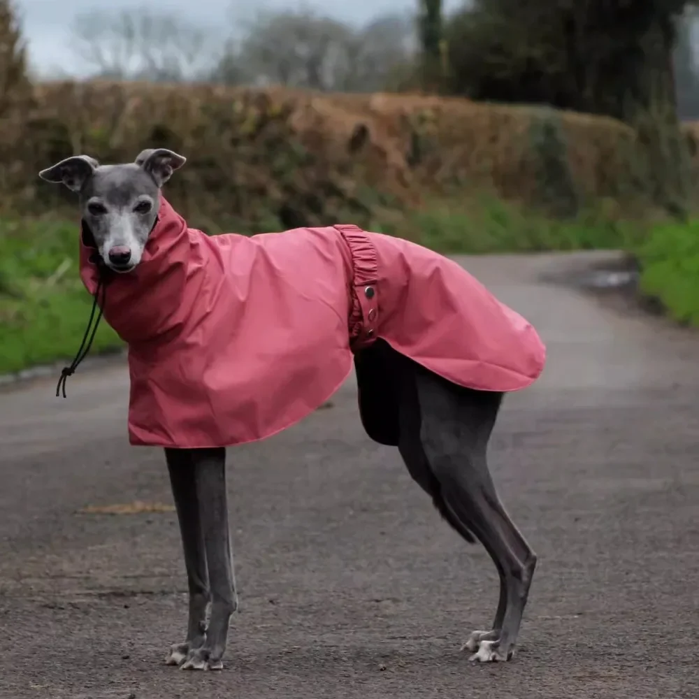 Adjustable Dog Raincoat Waterproof Jacket | Spring Cloak Lightweight with Drawstring Neck Design | for Whippet Italian Greyhound