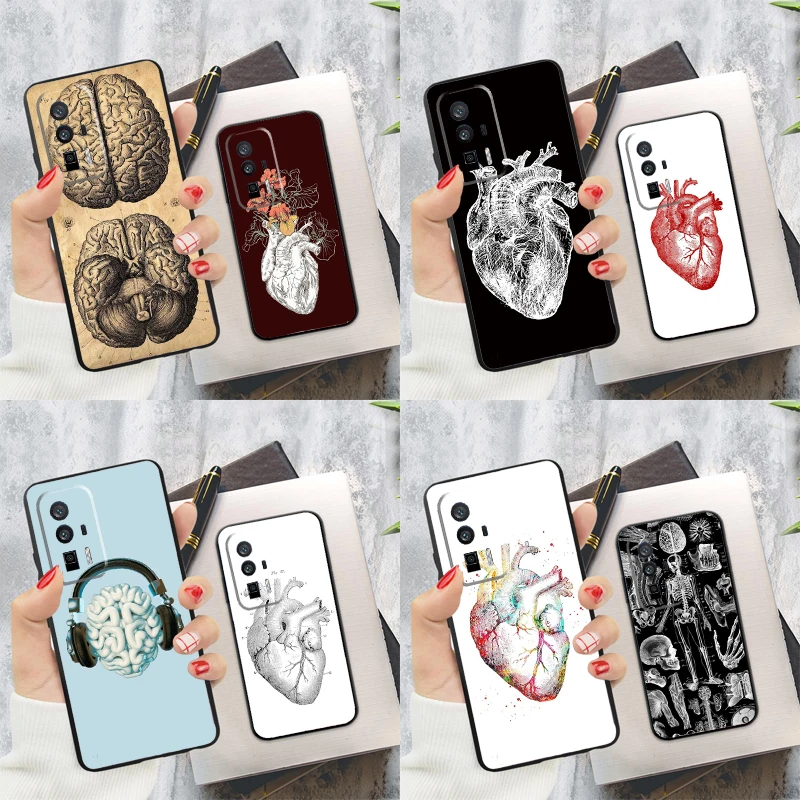 Human Heart Anatomy…