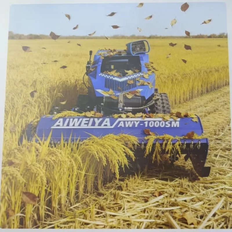 Customized Intellig… - image