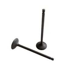 8pcs p700000035 p700000036 Intake valve exhaust valve for Foton sauvana