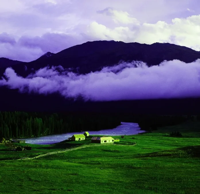 

202E 1/10 4WD Бесщеточный RC Monster Truck — 2,4G, 60 км/ч, Off-Road RTR для детей 14+ лет