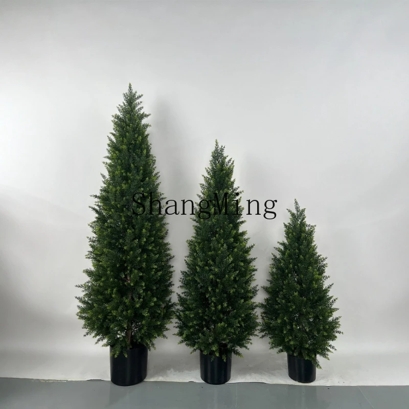 

SM green plant set pine cypress tree potted plant home hotel garden pine tree ornament home decoration ornament