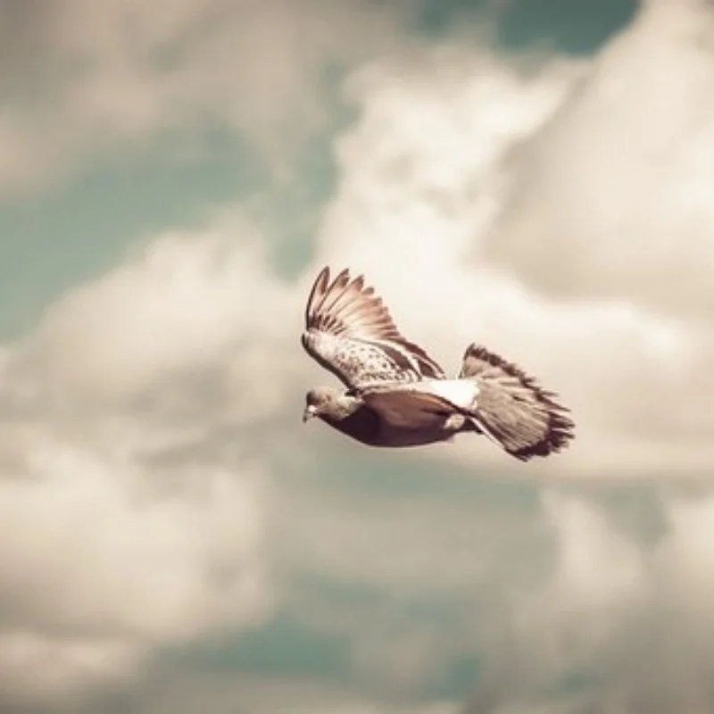 

Шина заднего моста без привода, 10-луночная ступица колеса, подходит для Tamiya 1/14, тракторный прицеп, модификация заднего прицепа, запасные части «сделай сам»