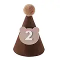 T2