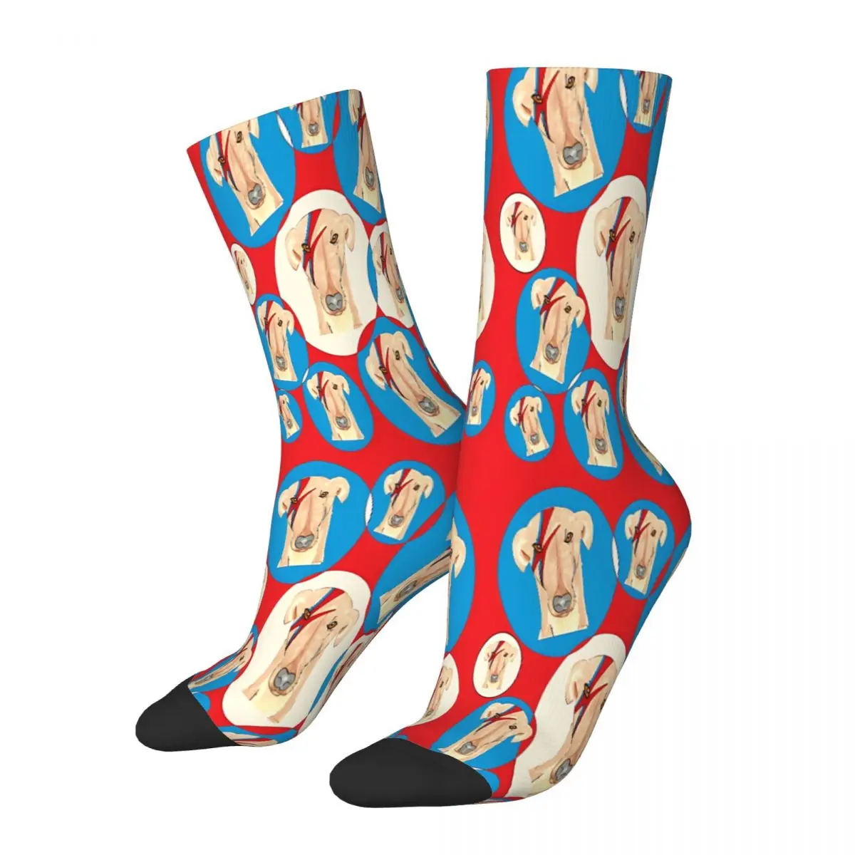 Ziggy Stardog Bubbles Geryhound Greyhounds Dog Socks Male Mens Women Summer Stockings Polyester