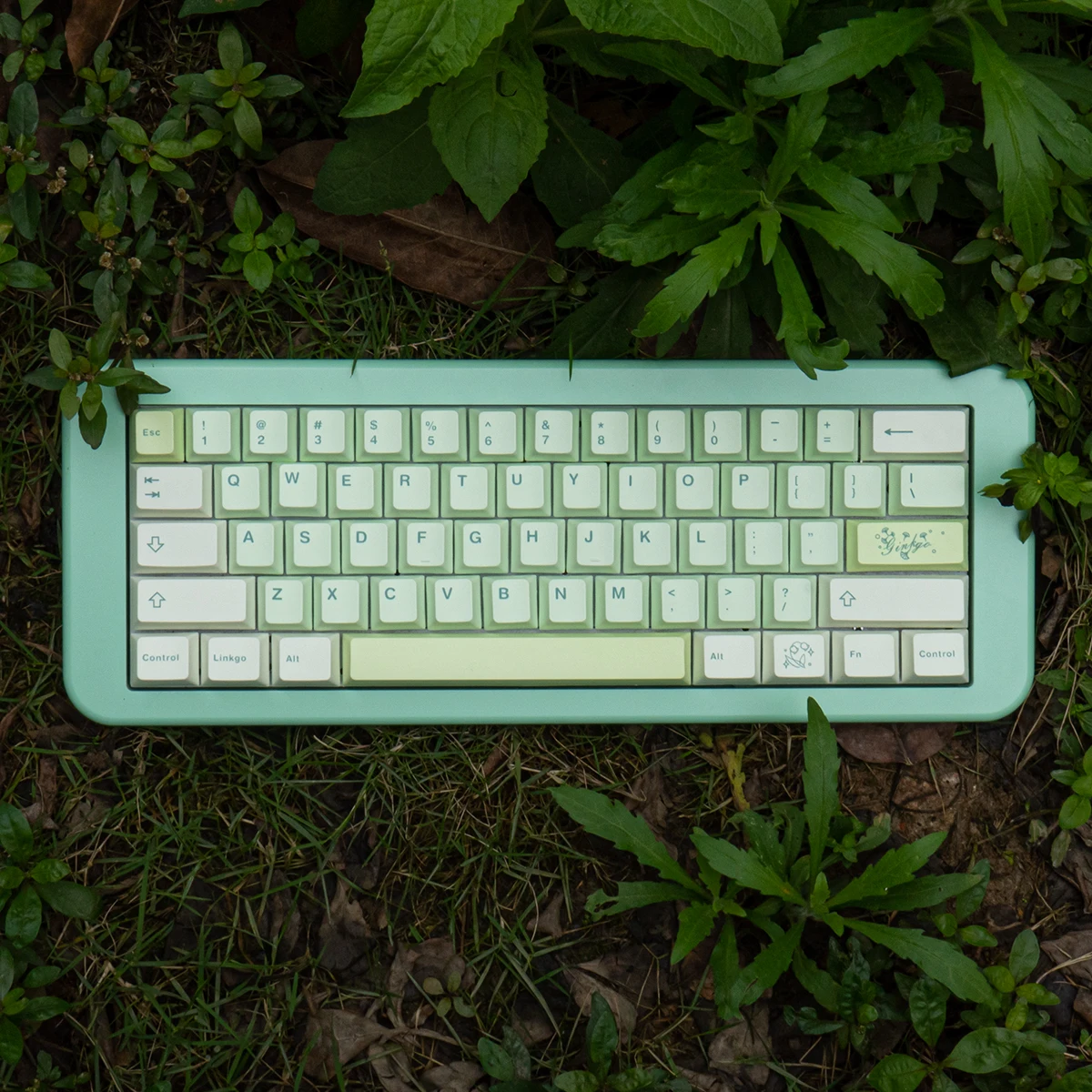 Imagem -02 - Gmk Ginkgo Keycap Pbt Dye-sub Perfil de Cereja Faça Você Mesmo Verde Teclado Mecânico Jogos Espaço 2.25u 2.75u 7u 143 Chaves