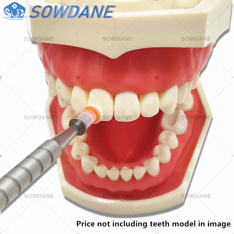 Dental Contact Shape Former with Caps Composite Modelling Instrument Filling Filler Dental Resin Composite Trimmer Spatula